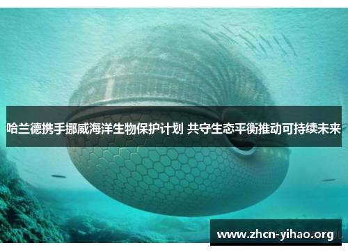 哈兰德携手挪威海洋生物保护计划 共守生态平衡推动可持续未来 哈兰德携手挪威海洋生物保护计划 共守生态平衡推动可持续未来