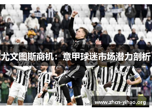 尤文图斯商机：意甲球迷市场潜力剖析