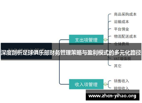 深度剖析足球俱乐部财务管理策略与盈利模式的多元化路径 深度剖析足球俱乐部财务管理策略与盈利模式的多元化路径