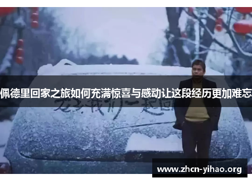 佩德里回家之旅如何充满惊喜与感动让这段经历更加难忘