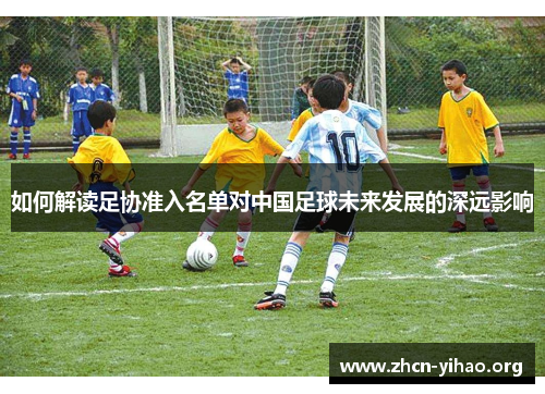 如何解读足协准入名单对中国足球未来发展的深远影响