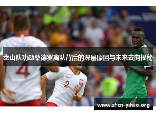 泰山队功勋桑德罗离队背后的深层原因与未来去向揭秘