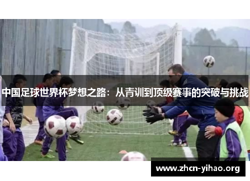 中国足球世界杯梦想之路：从青训到顶级赛事的突破与挑战