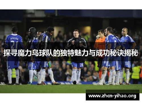 探寻魔力鸟球队的独特魅力与成功秘诀揭秘
