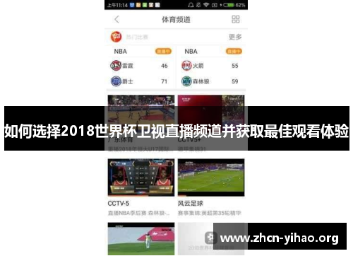 如何选择2018世界杯卫视直播频道并获取最佳观看体验