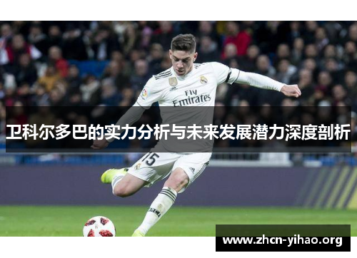 卫科尔多巴的实力分析与未来发展潜力深度剖析