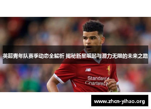 英超青年队赛季动态全解析 揭秘新星崛起与潜力无限的未来之路
