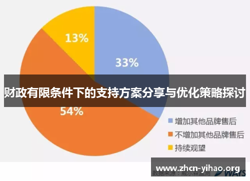 财政有限条件下的支持方案分享与优化策略探讨